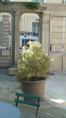 Le Patio Cathare