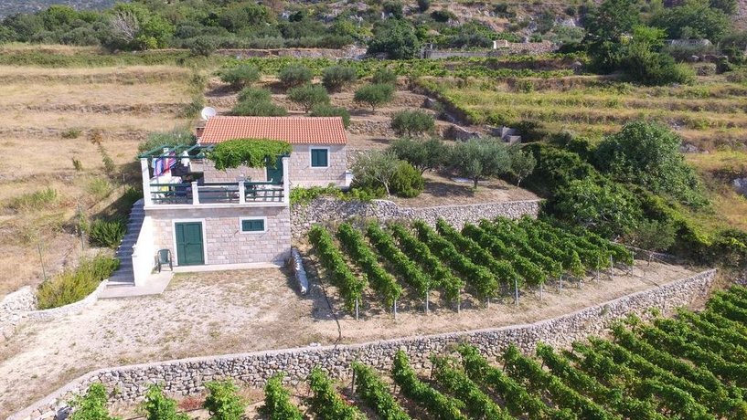 Holiday Home Vineyard house Bol