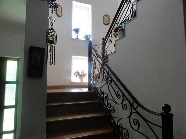 Apartamentos Em Moradia Com Jardim
