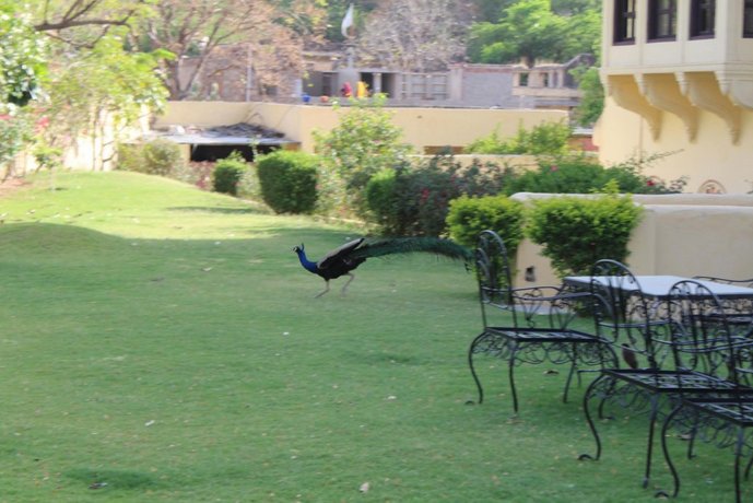 Hotel Dhula Garh