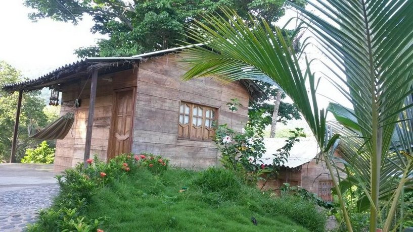 Deep Forest Posadas Ecoturisticas