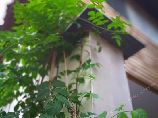 The Nine Boutique Hostel