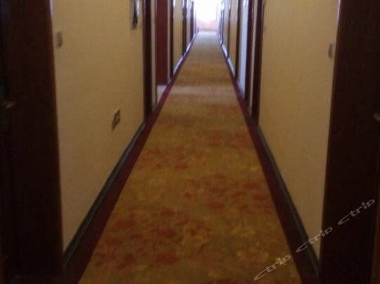 Private Custom Theme Hotel Harbin