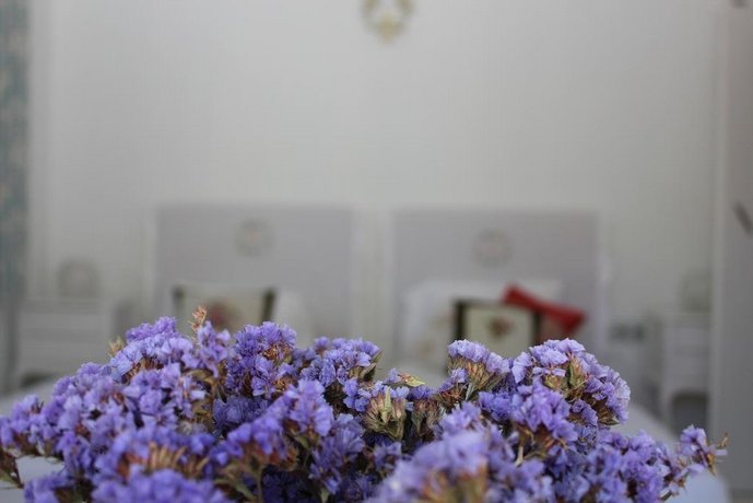 Amaranda Ada Evi