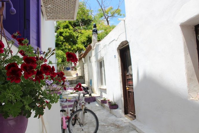 Amaranda Ada Evi