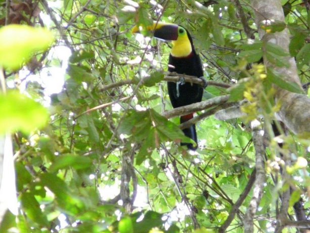 Punta Marenco Lodge