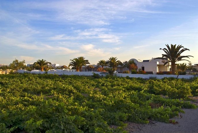Alafouzos Studios
