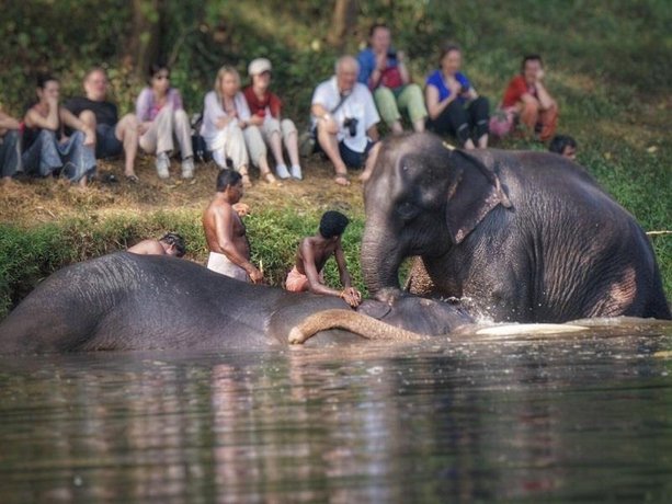 Whispering Waters Cochin