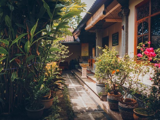 Masna House