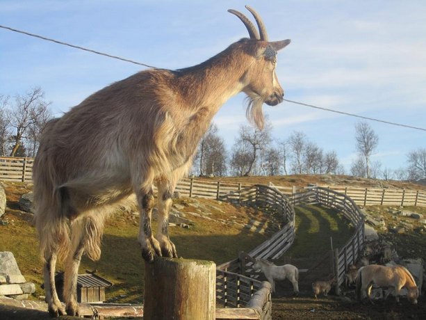 Langedrag Naturpark