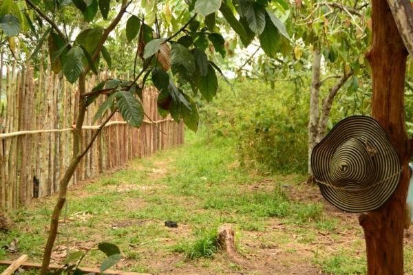 Comunidade do Xingu Camping Site