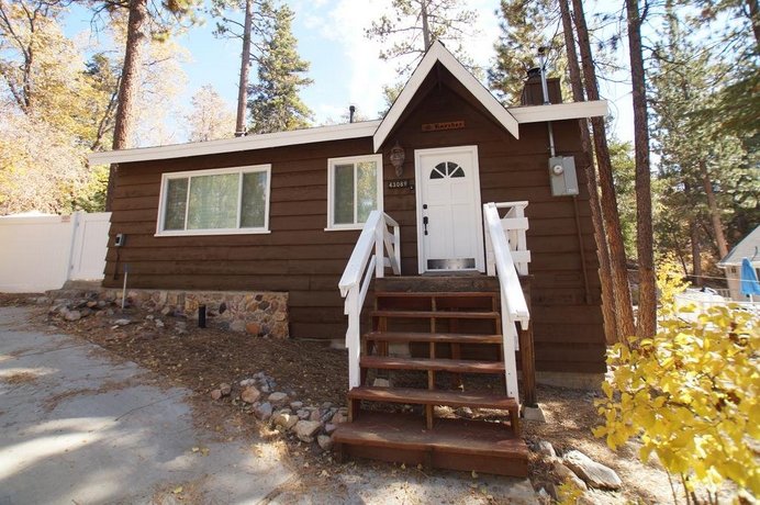 Grizzly Bear by Big Bear Cool Cabins