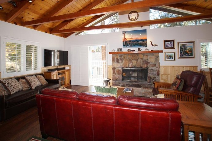 Grizzly Bear by Big Bear Cool Cabins