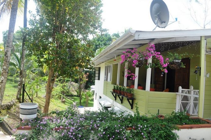 The Leatherback Lodge