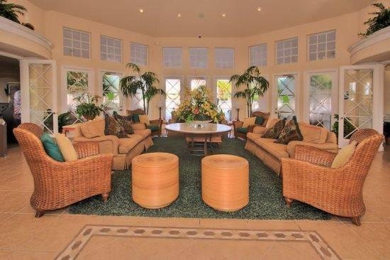 Silver Palm Dream