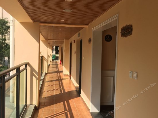 Laiya Boutique Hostel