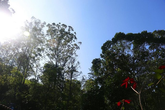 Secret Nest Homestay