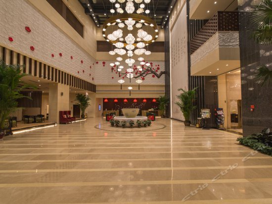 Willzone Hotel