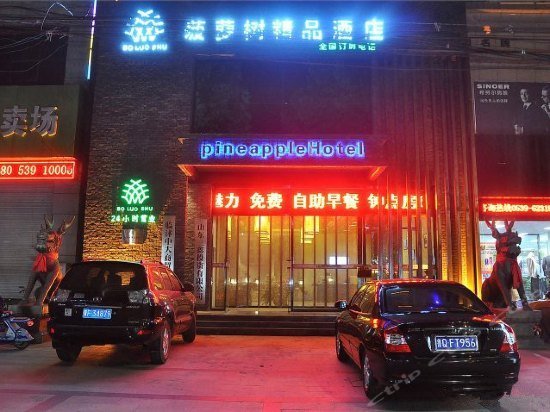 Pineapple Hotel Linyi