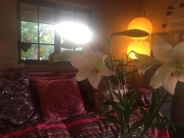 Midrand Wild Goose B&B & Conference Venue