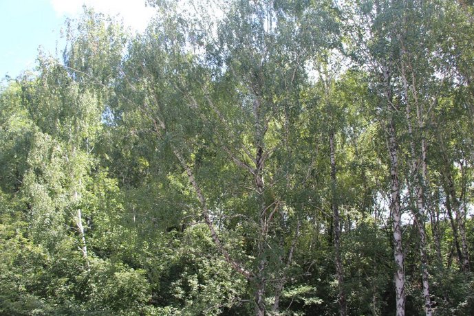 Мини-отель Блеск