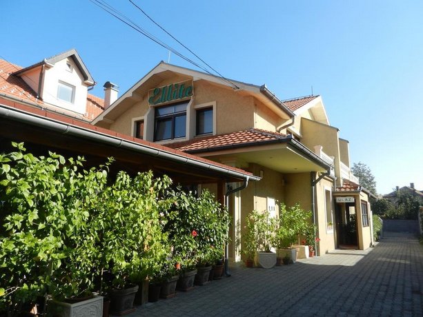 Guesthouse Ellite