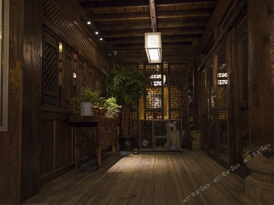 Dream Land Shangri-La