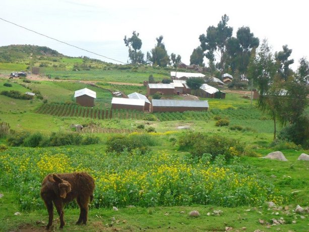 Flor de Kantuta Inn