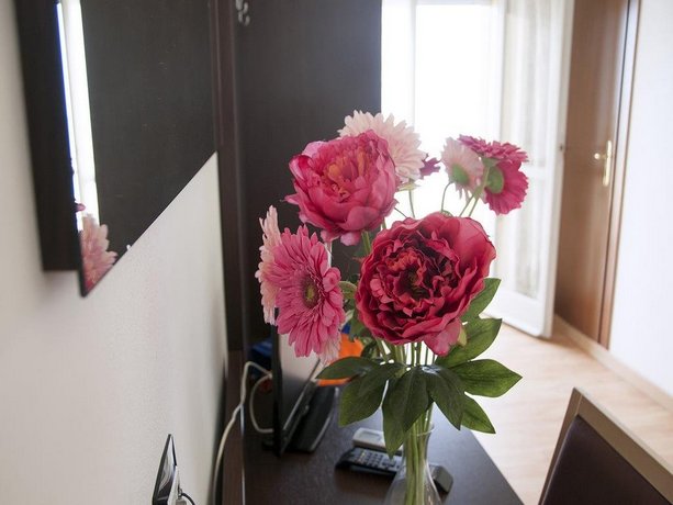 Hotel Adler Lido di Classe