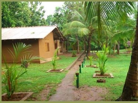 Pokuna Safari Eco Lodge