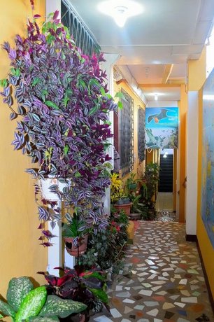 Hostal Tintorera