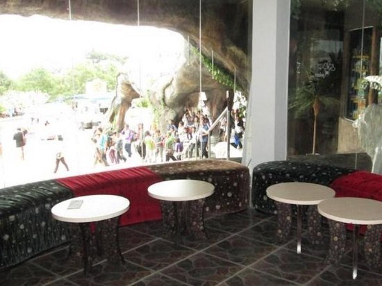 Pohon Inn