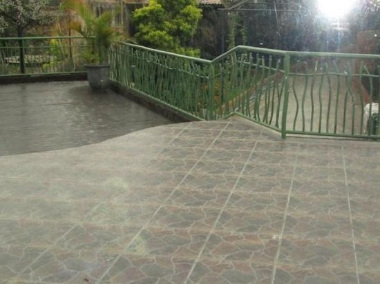 Pohon Inn