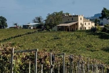 Masseria del Vino