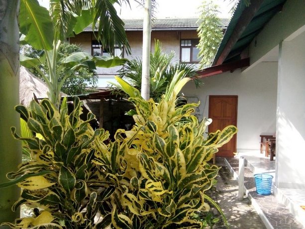 Mirna Homestay
