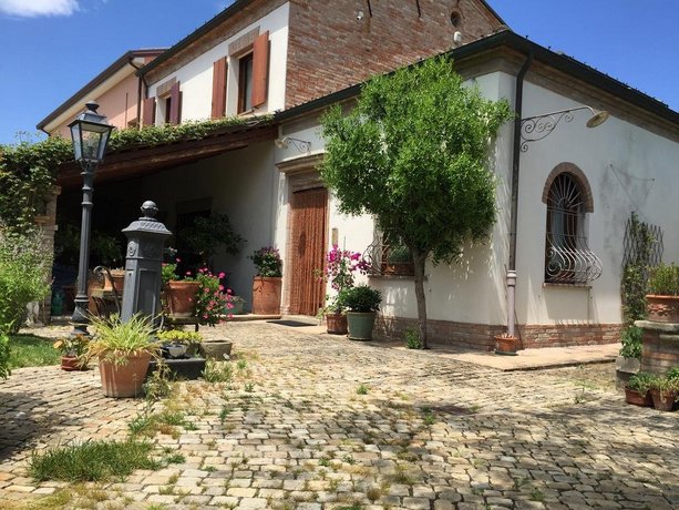 Cascina Vecchia Alpacas