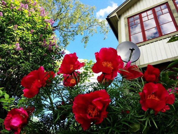 Sweden Slow Living