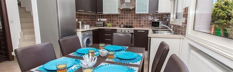 Oceanview Luxury Villa 205