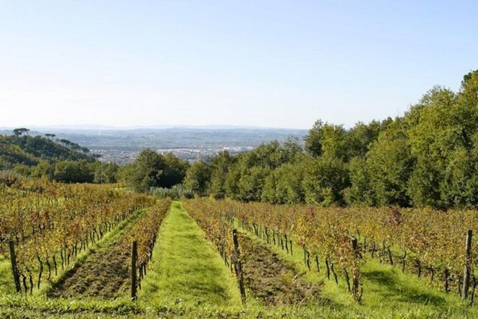Il Frantoio Montelupo Fiorentino