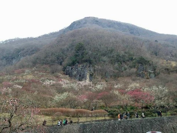 Yugawara Onsen Ryokan Uohan