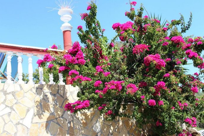 Villa Romantica Corfu Island Ionian Islands