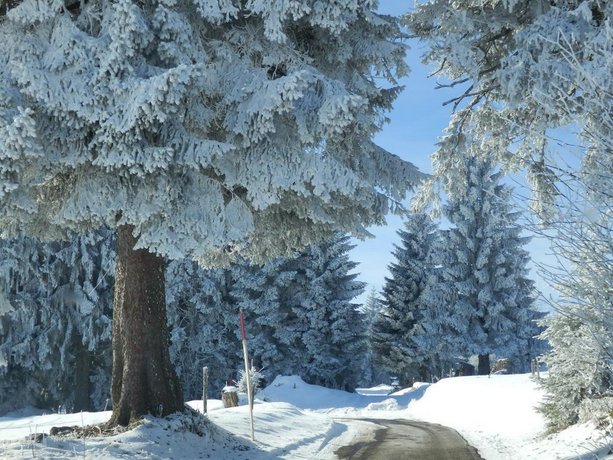 Haus Sonneck Schluchsee Compare Deals