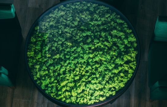 Green Resort Hotel and SPA