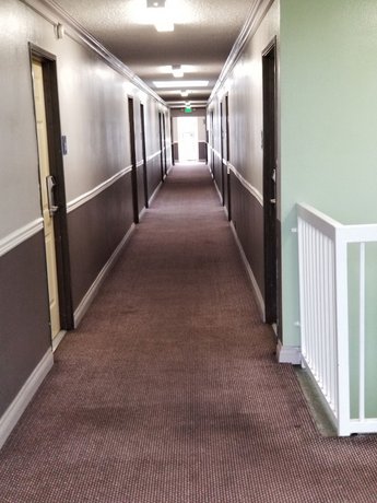 Hollywood Stars Inn
