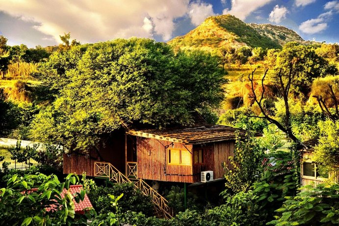 The Tree House Resort