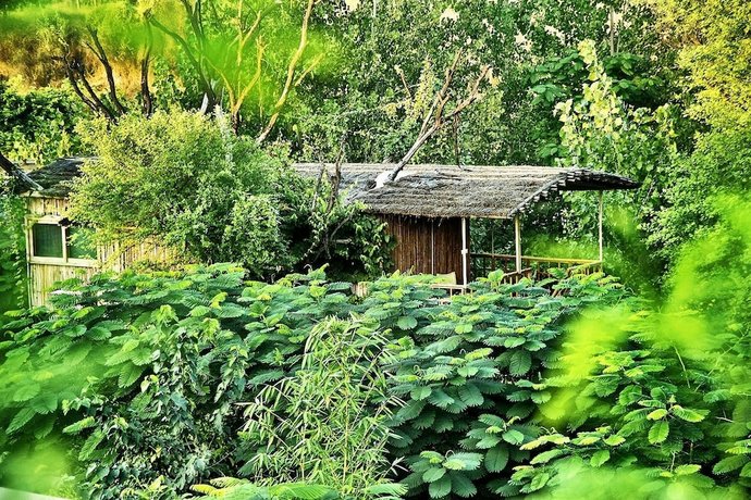 The Tree House Resort