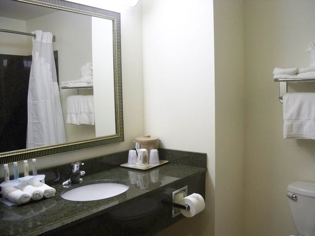 Holiday Inn Express & Suites - Omaha I - 80