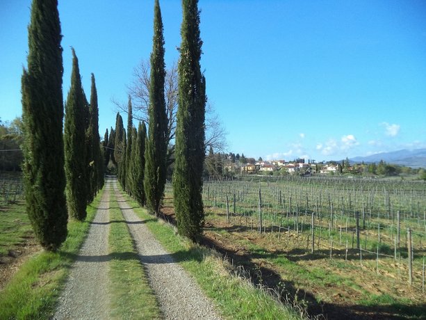 Agriturismo Albergotti