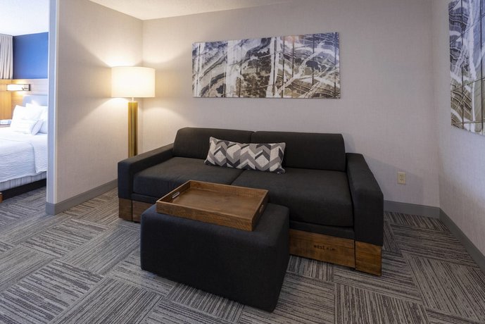 SpringHill Suites Rochester Mayo Clinic Area/Saint Marys
