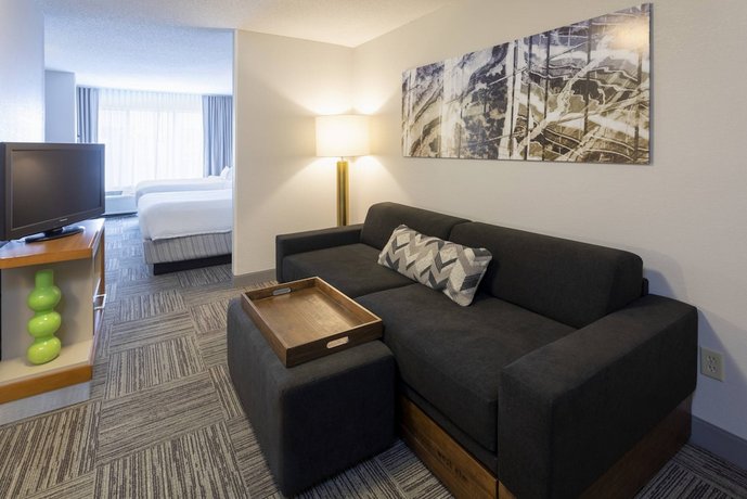 SpringHill Suites Rochester Mayo Clinic Area/Saint Marys